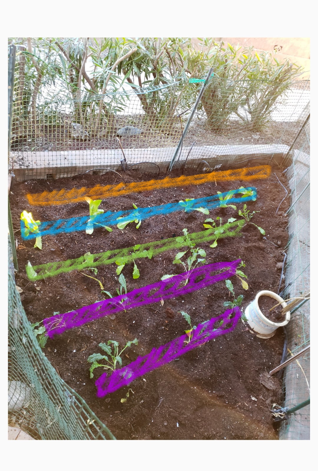 200125_210951_423._1