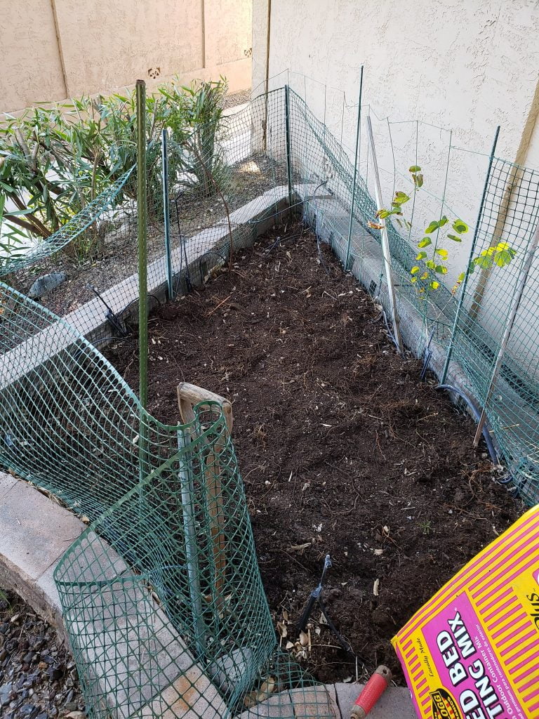 2020 Small veggie garden before prepping